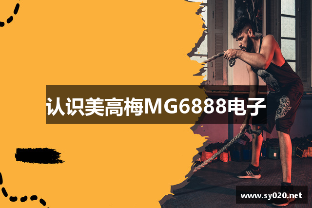 MG6888电子有限公司-官网